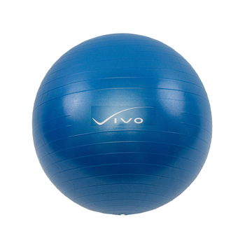 Piłka gimnastyczna Vivo 55 cm dark blue FA001