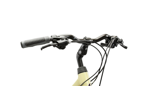 Rower Kross TRANS 1.0 beżowy-fiolet  połysk  damski