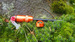 Krzesiwo Bushmen REVOLT - orange