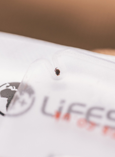 Karta do wyciągania kleszczy Lifesystems Tick Remover Card