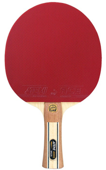 Rakietka ATEMI 4000 PRO an