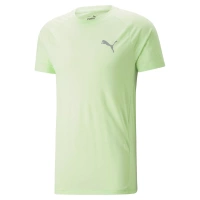 Koszulka Puma Evostripe 673311-35 Tee spring fern