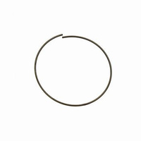 Sprężyna zapadek wolnobiegu